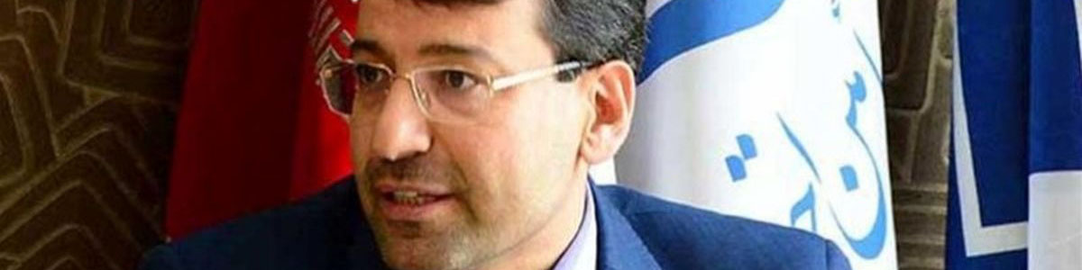 ترخیص ۶۹۰ دستگاه خودرو وارداتی از ابتدای سال/ ۵۹ همت حقوق ورودی دولت به خزانه واریز شد